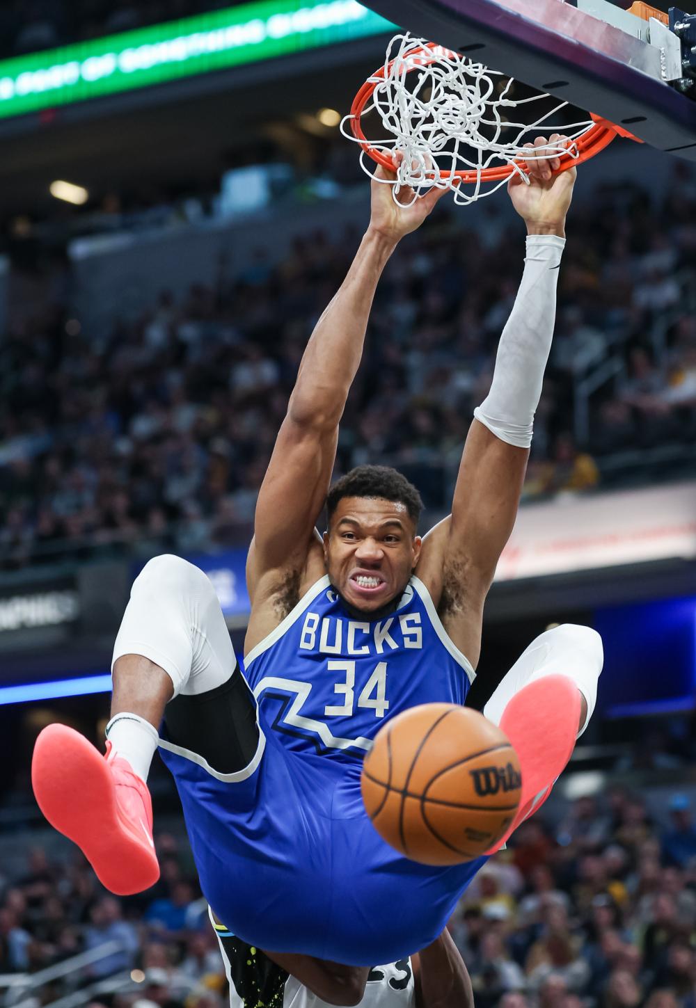 的激烈竞争 的激烈竞争